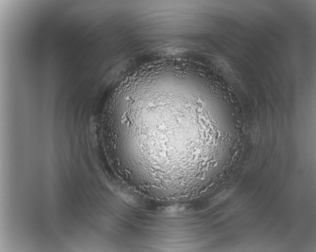 X0000063450366200602031814