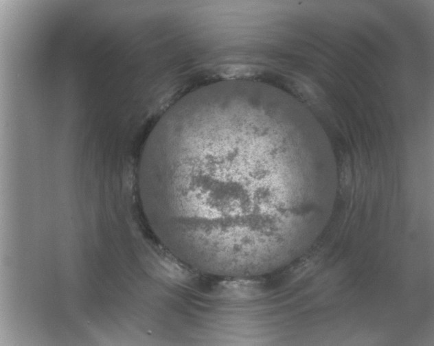 X0000063450367200602031814