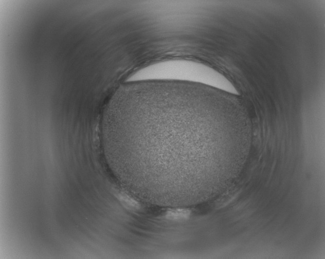 X0000063450369200602031814