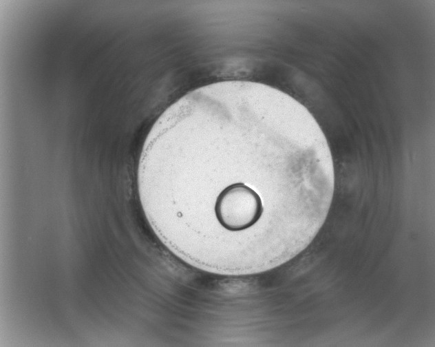 X0000063450370200602031814