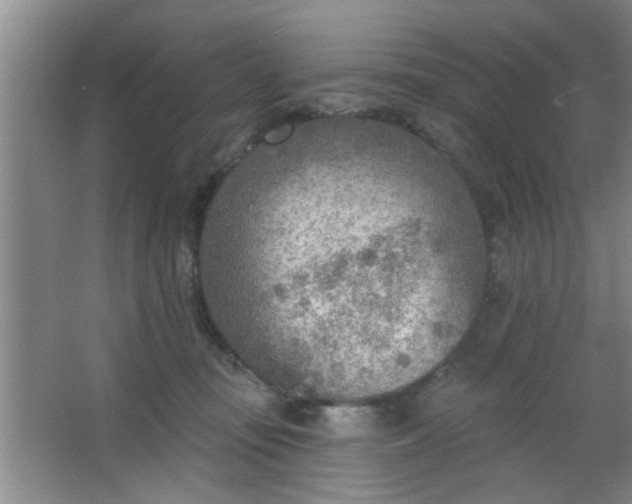 X0000063450371200602031814