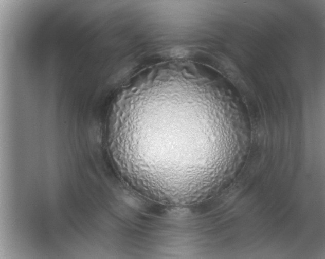 X0000063450374200602031814