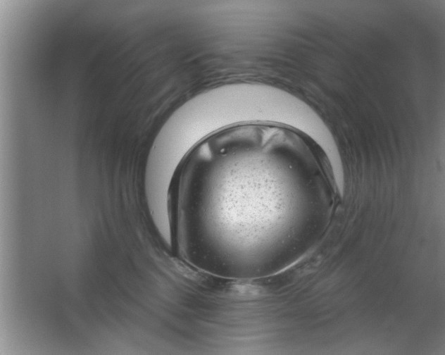 X0000063450376200602031814