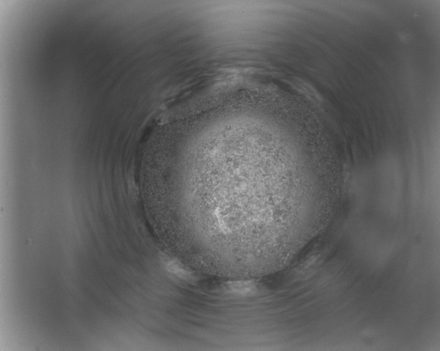 X0000063450377200602031814