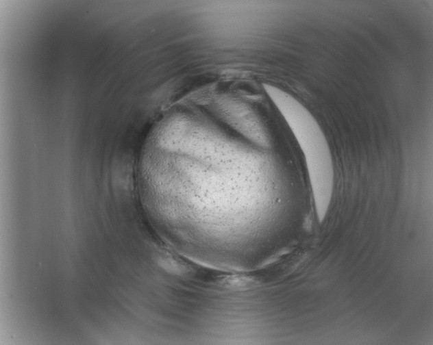 X0000063450379200602031814