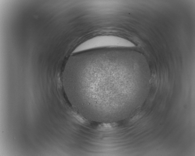 X0000063450381200602031814