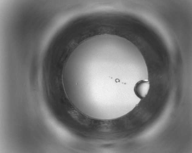 X0000063450382200602031814