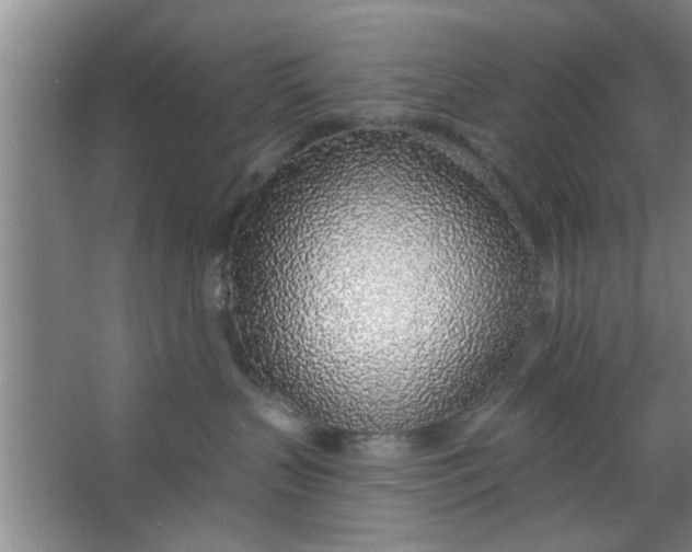 X0000063450383200602031814