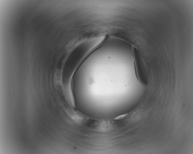 X0000063450384200602031814