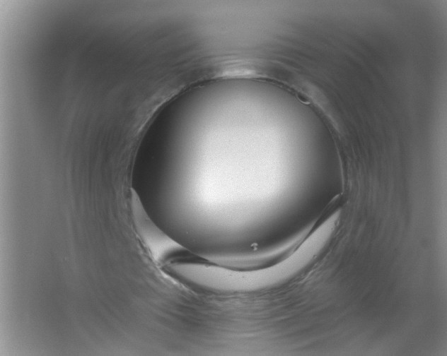 X0000063450385200602031813