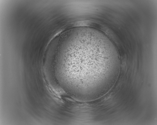 X0000063450386200602031813