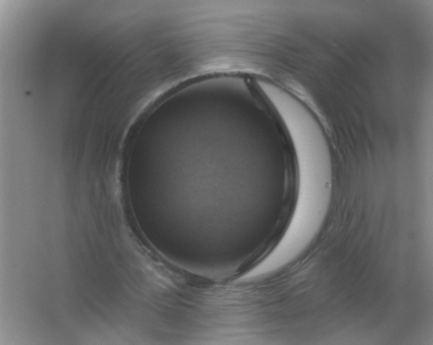 X0000063450387200602031813