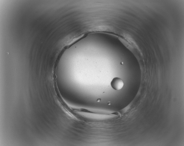 X0000063450389200602031813