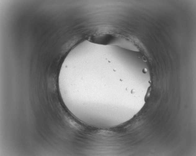 X0000063450393200602031813