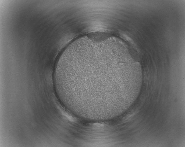 X0000063450394200602031813