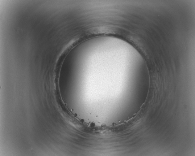 X0000063450395200602031813