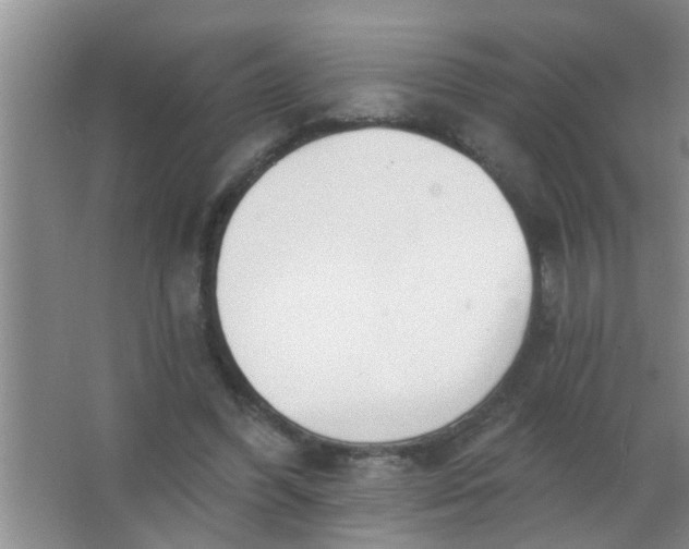 X0000063450396200602031813