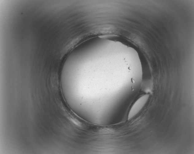 X0000063450397200602031813