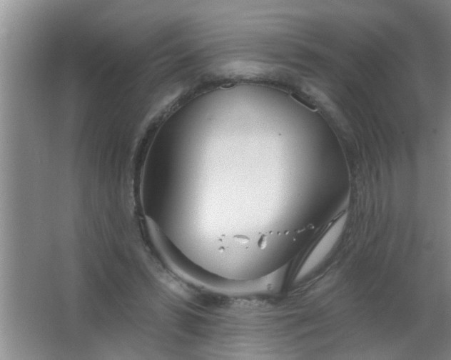 X0000063450399200602031813