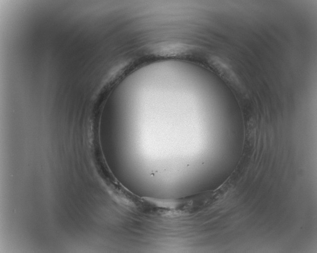 X0000063450400200602031813