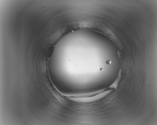 X0000063450401200602031813