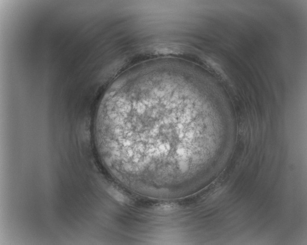 X0000063450402200602031813