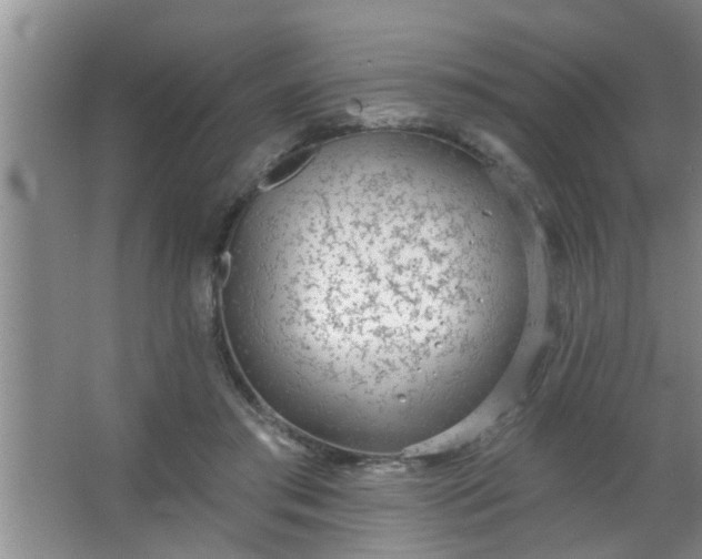 X0000063450405200602031813