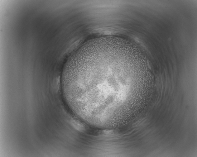 X0000063450406200602031813