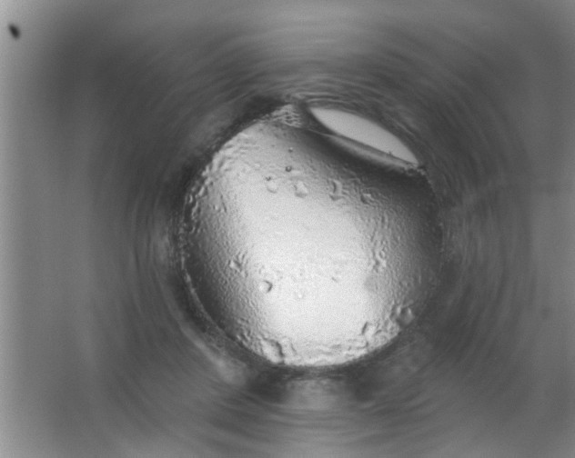 X0000063450408200602031813