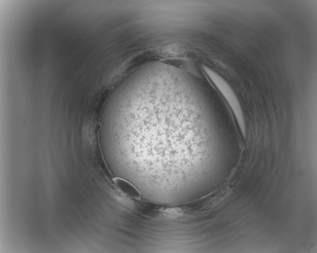 X0000063450409200602031813