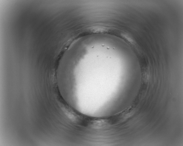 X0000063450411200602031813