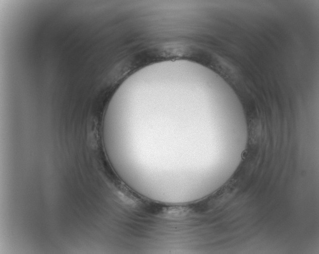 X0000063450414200602031813