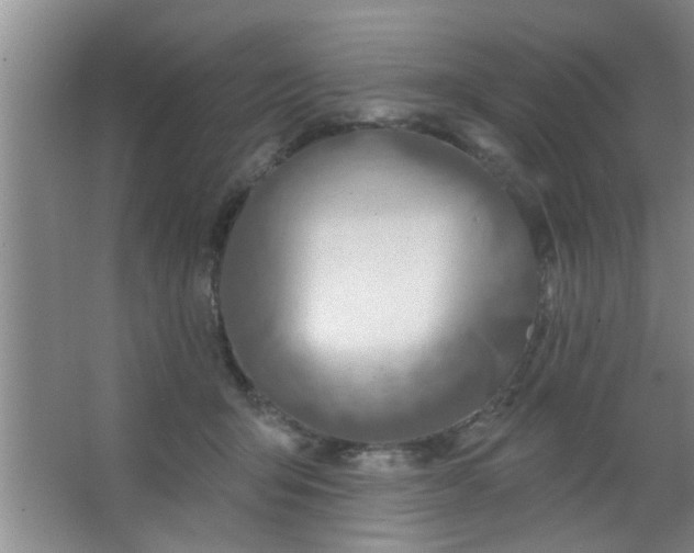 X0000063450415200602031813