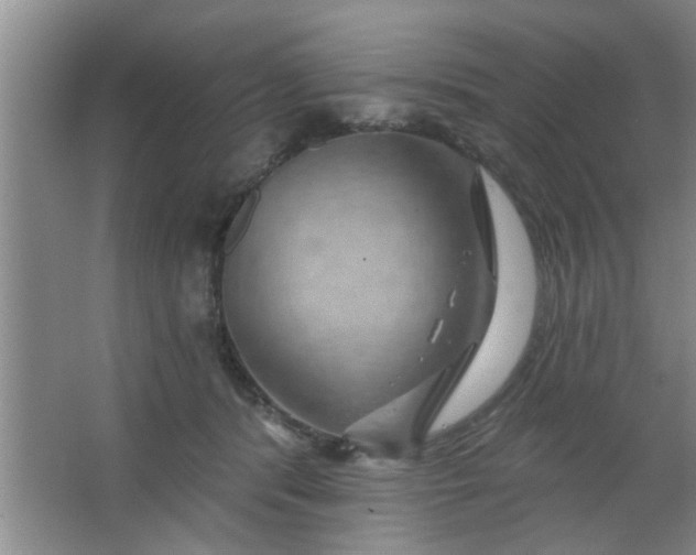 X0000063450416200602031813