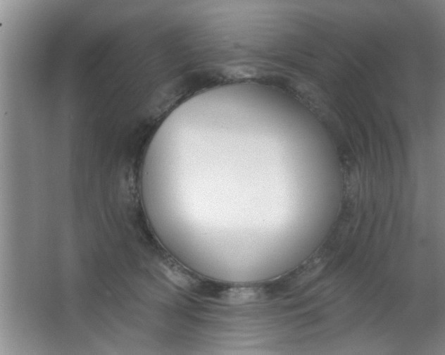 X0000063450418200602031813