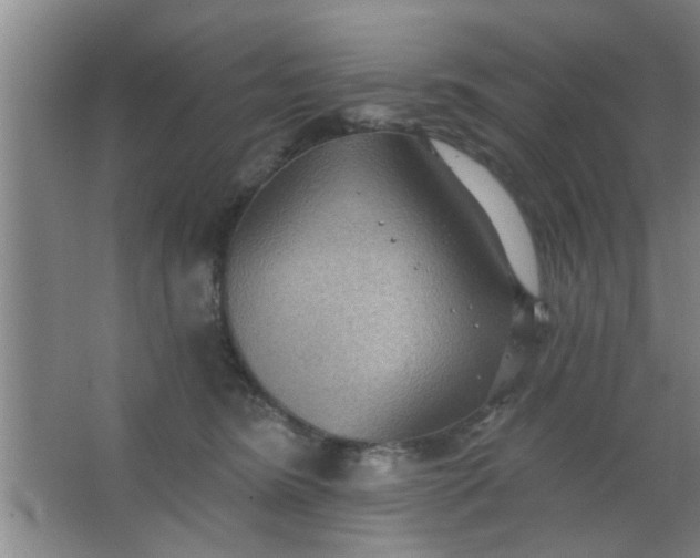 X0000063450420200602031813