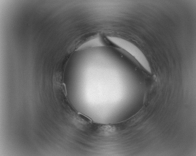 X0000063450421200602031813