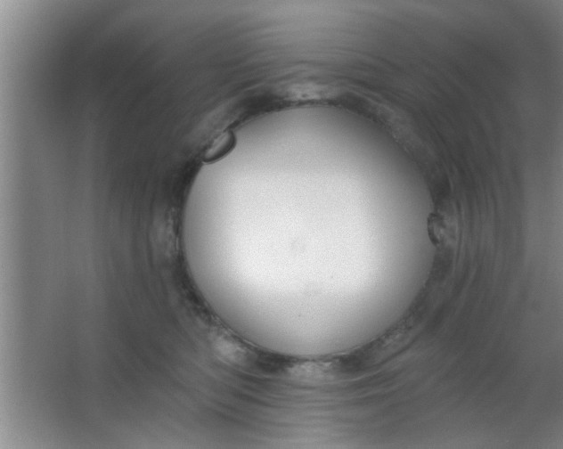 X0000063450422200602031813