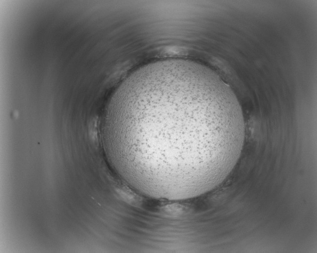 X0000063450423200602031813