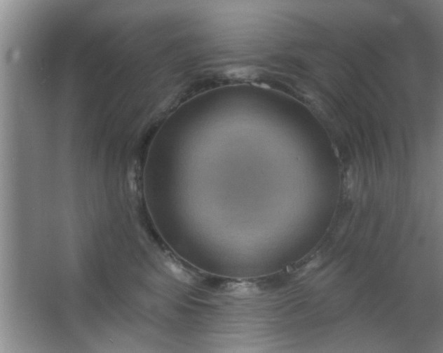 X0000063450424200602031813