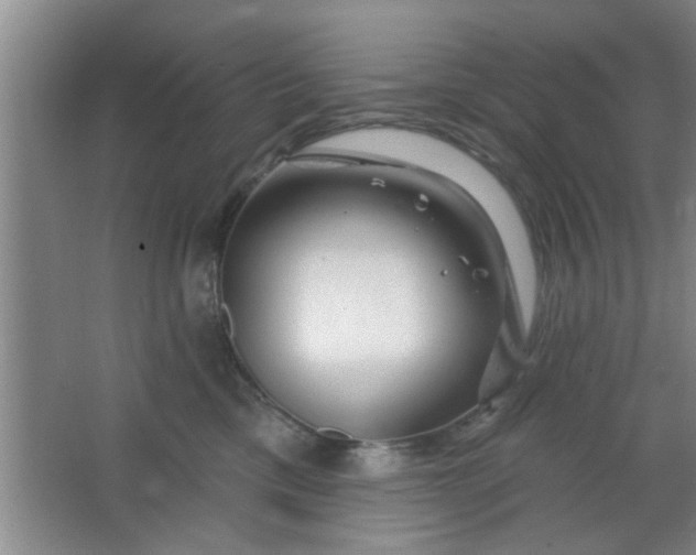 X0000063450425200602031813