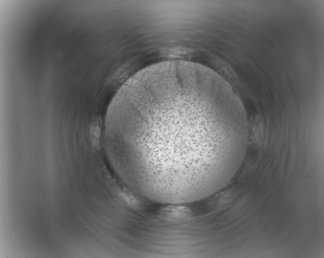 X0000063450427200602031813