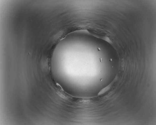 X0000063450428200602031813