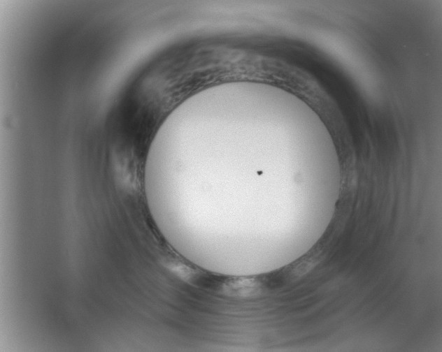 X0000063450431200602031813