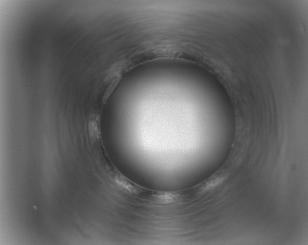 X0000063450432200602031813