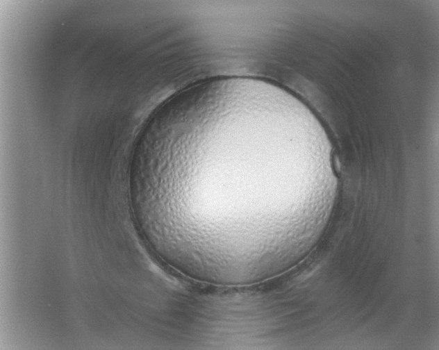 X0000063450433200602031812