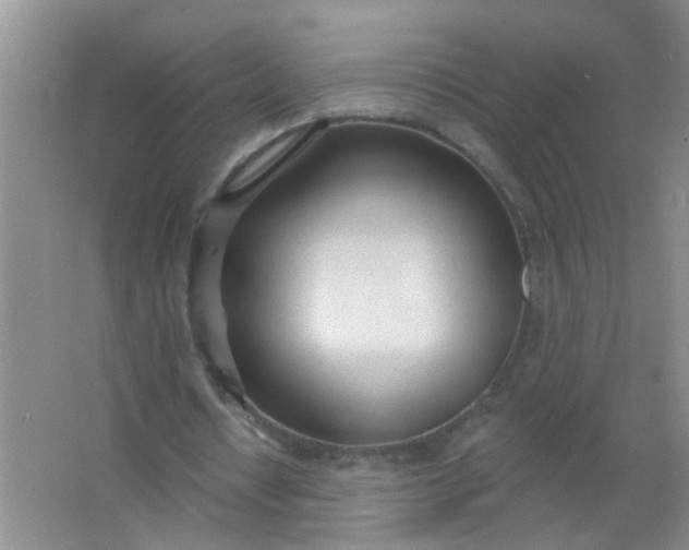 X0000063450434200602031812