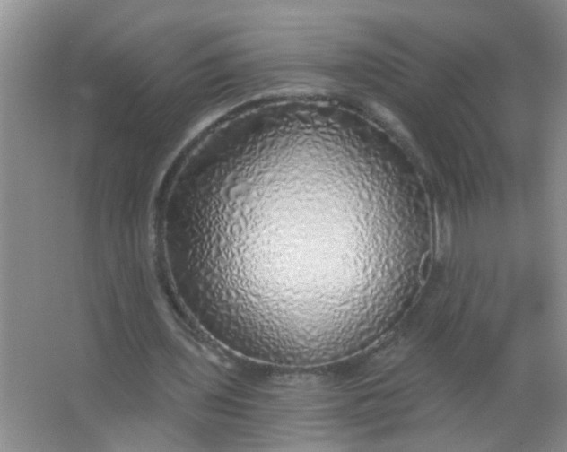 X0000063450435200602031812