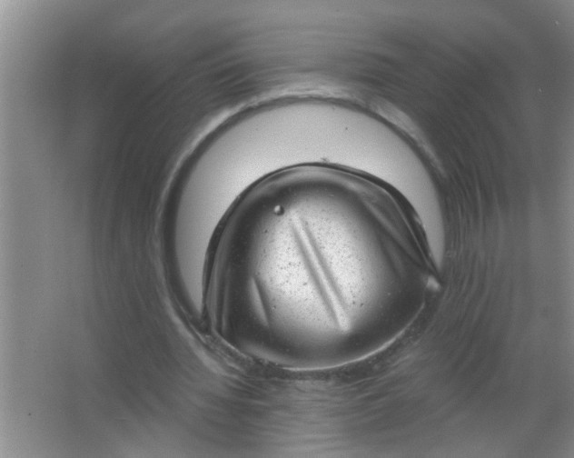 X0000063450436200602031812