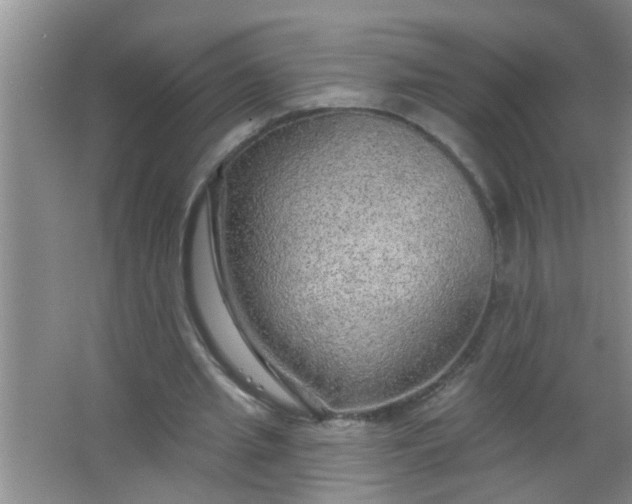 X0000063450437200602031812